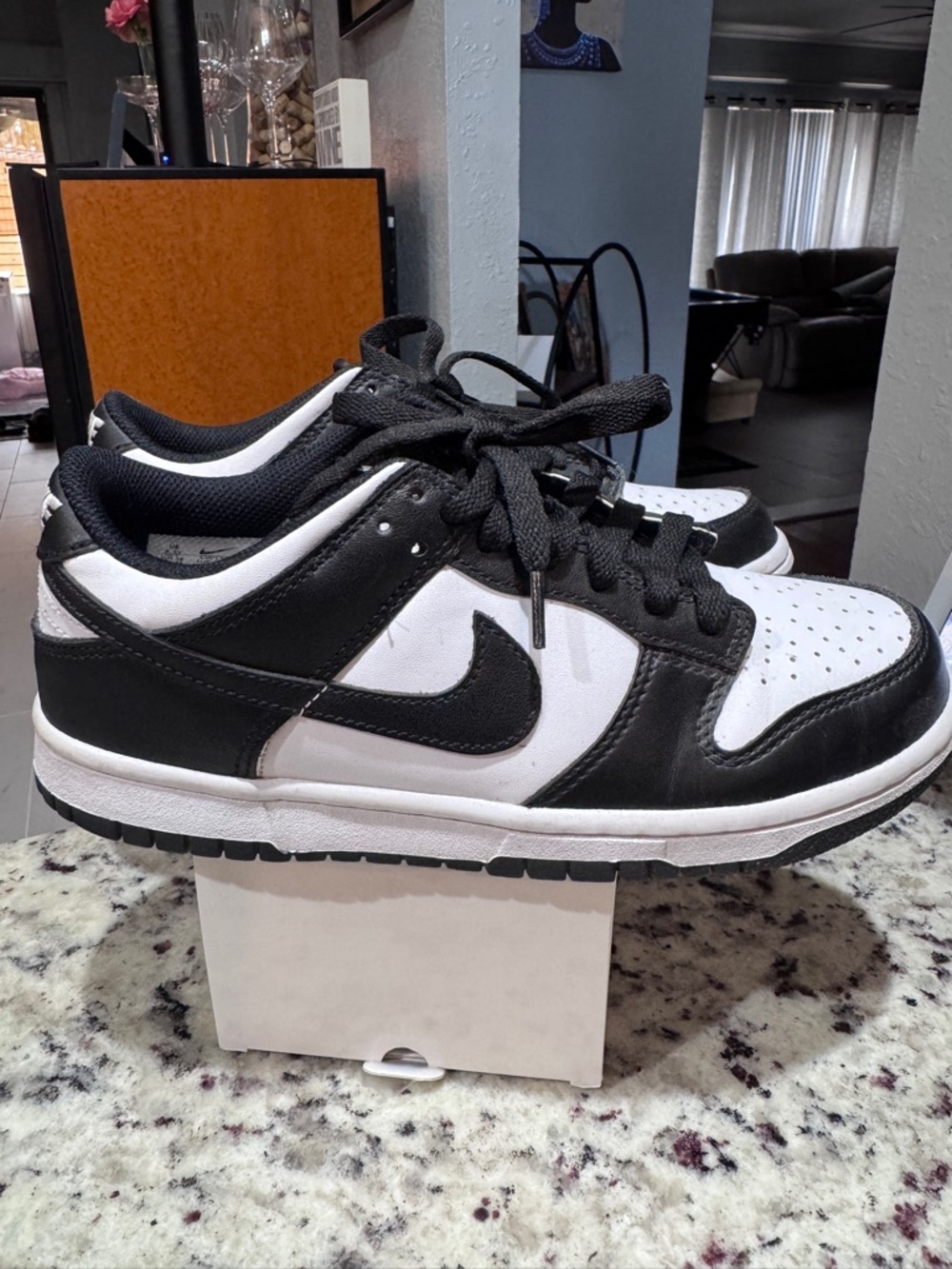 Nike Men's Black and White Low-Top Skate Sneakers